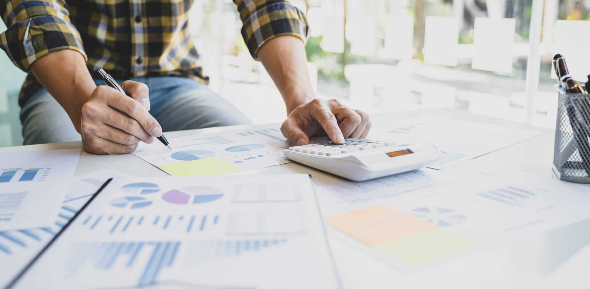 Pianificazione e controllo di gestione. Budget di esercizio